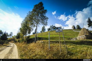 Trasee cu bicicleta MTB XC - Traseu MTB Zarnesti - Magura - Pestera - Moieciu - Bran - Predelut - Zarnesti (varianta familie, copil de 2 ani) de Andrei Vocurek