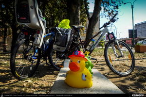 Trasee cu bicicleta MTB XC - Traseu MTB Zarnesti - Magura - Pestera - Moieciu - Bran - Predelut - Zarnesti (varianta familie, copil de 2 ani) de Andrei Vocurek
