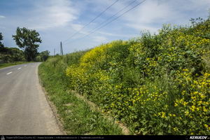 Trasee cu bicicleta MTB XC - Traseu MTB Nocrich - Marpod - Ilimbav - Altana - Nocrich (varianta familie, copil de 2 ani) de Andrei Vocurek