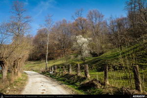 Trasee cu bicicleta MTB XC - Traseu MTB Pietrosita - Dealu Frumos - Runcu - Valea Runcului - Piatra - Badeni - Fieni (Muntii Leaota, Manastirea Runcu) de Andrei Vocurek