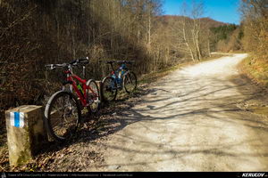 Trasee cu bicicleta MTB XC - Traseu MTB Pietrosita - Dealu Frumos - Runcu - Valea Runcului - Piatra - Badeni - Fieni (Muntii Leaota, Manastirea Runcu) de Andrei Vocurek