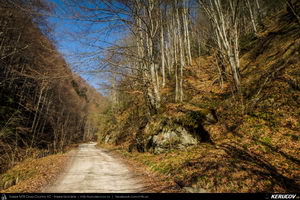 Trasee cu bicicleta MTB XC - Traseu MTB Pietrosita - Dealu Frumos - Runcu - Valea Runcului - Piatra - Badeni - Fieni (Muntii Leaota, Manastirea Runcu) de Andrei Vocurek