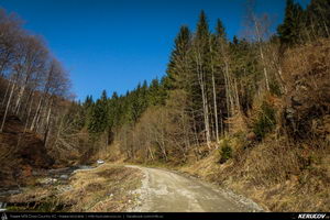 Trasee cu bicicleta MTB XC - Traseu MTB Pietrosita - Dealu Frumos - Runcu - Valea Runcului - Piatra - Badeni - Fieni (Muntii Leaota, Manastirea Runcu) de Andrei Vocurek