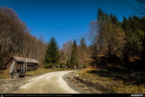 Trasee cu bicicleta MTB XC - Traseu MTB Pietrosita - Dealu Frumos - Runcu - Valea Runcului - Piatra - Badeni - Fieni (Muntii Leaota, Manastirea Runcu) de Andrei Vocurek