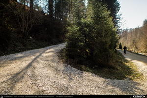 Trasee cu bicicleta MTB XC - Traseu MTB Pietrosita - Dealu Frumos - Runcu - Valea Runcului - Piatra - Badeni - Fieni (Muntii Leaota, Manastirea Runcu) de Andrei Vocurek