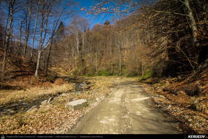 Trasee cu bicicleta MTB XC - Traseu MTB Pietrosita - Dealu Frumos - Runcu - Valea Runcului - Piatra - Badeni - Fieni (Muntii Leaota, Manastirea Runcu) de Andrei Vocurek