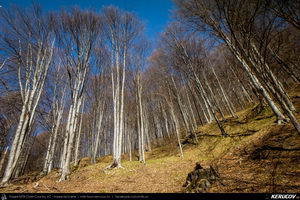 Trasee cu bicicleta MTB XC - Traseu MTB Pietrosita - Dealu Frumos - Runcu - Valea Runcului - Piatra - Badeni - Fieni (Muntii Leaota, Manastirea Runcu) de Andrei Vocurek