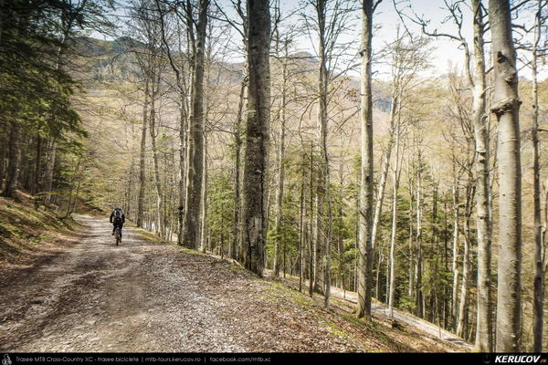 Traseu cu bicicleta MTB XC Muntii Bucegi: Sinaia - Cota 1400 - Stana Regala / Poiana Stanii - Sinaia (Schitul Sfanta Ana, Stancile Franz Joseph, Stanca Sfanta Ana, Castelul Peles) - KERUCOV .ro © 2007 - 2025 || #traseecubicicleta #mtb #ssp