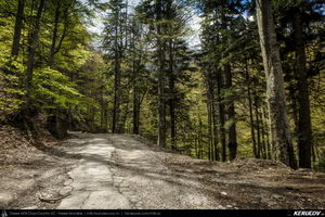 Trasee cu bicicleta MTB XC - Traseu MTB Muntii Bucegi: Sinaia - Cota 1400 - Stana Regala / Poiana Stanii - Sinaia (Schitul Sfanta Ana, Stancile Franz Joseph, Stanca Sfanta Ana, Castelul Peles) de Andrei Vocurek