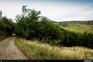 Trasee cu bicicleta MTB XC - Traseu MTB Slanic - Grosani - Schiulesti - Crasna (Manastirea Crasna) de Andrei Vocurek