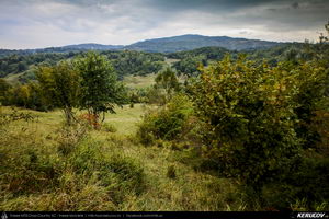 Trasee cu bicicleta MTB XC - Traseu MTB Slanic - Grosani - Schiulesti - Crasna (Manastirea Crasna) de Andrei Vocurek