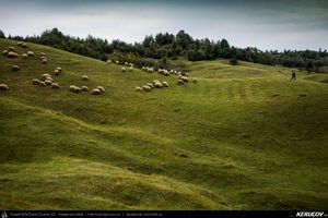 Trasee cu bicicleta MTB XC - Traseu MTB Slanic - Grosani - Schiulesti - Crasna (Manastirea Crasna) de Andrei Vocurek