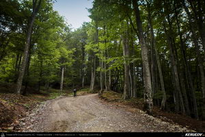 Trasee cu bicicleta MTB XC - Traseu MTB Slanic - Grosani - Schiulesti - Crasna (Manastirea Crasna) de Andrei Vocurek