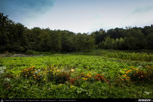 Trasee cu bicicleta MTB XC - Traseu MTB Slanic - Grosani - Schiulesti - Crasna (Manastirea Crasna) de Andrei Vocurek