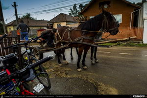 Trasee cu bicicleta MTB XC - Traseu MTB Slanic - Grosani - Schiulesti - Crasna (Manastirea Crasna) de Andrei Vocurek