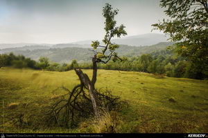 Trasee cu bicicleta MTB XC - Traseu MTB Slanic - Grosani - Schiulesti - Crasna (Manastirea Crasna) de Andrei Vocurek