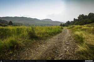 Trasee cu bicicleta MTB XC - Traseu MTB Slanic - Grosani - Schiulesti - Crasna (Manastirea Crasna) de Andrei Vocurek
