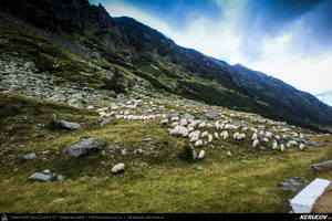 Trasee cu bicicleta MTB XC - Traseu MTB Muntii Fagaras - TRANSFAGARASAN: Carta - Cartisoara - Balea Lac de Andrei Vocurek