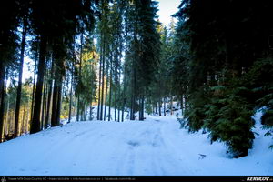 Trasee cu bicicleta MTB XC - Traseu MTB Predeal - spre Cabana Susai - Valea Azugii - Azuga de Andrei Vocurek