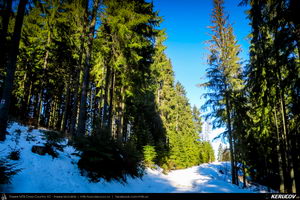 Trasee cu bicicleta MTB XC - Traseu MTB Predeal - spre Cabana Susai - Valea Azugii - Azuga de Andrei Vocurek