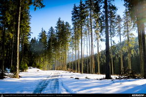Trasee cu bicicleta MTB XC - Traseu MTB Predeal - spre Cabana Susai - Valea Azugii - Azuga de Andrei Vocurek