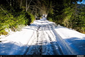 Trasee cu bicicleta MTB XC - Traseu MTB Predeal - spre Cabana Susai - Valea Azugii - Azuga de Andrei Vocurek