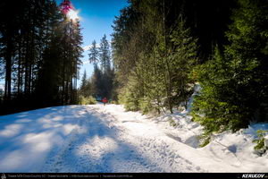 Trasee cu bicicleta MTB XC - Traseu MTB Predeal - spre Cabana Susai - Valea Azugii - Azuga de Andrei Vocurek