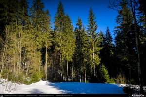Trasee cu bicicleta MTB XC - Traseu MTB Predeal - spre Cabana Susai - Valea Azugii - Azuga de Andrei Vocurek