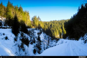 Trasee cu bicicleta MTB XC - Traseu MTB Predeal - spre Cabana Susai - Valea Azugii - Azuga de Andrei Vocurek
