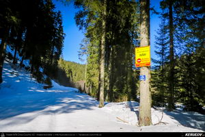 Trasee cu bicicleta MTB XC - Traseu MTB Predeal - spre Cabana Susai - Valea Azugii - Azuga de Andrei Vocurek