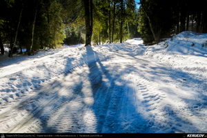 Trasee cu bicicleta MTB XC - Traseu MTB Predeal - spre Cabana Susai - Valea Azugii - Azuga de Andrei Vocurek