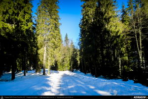 Trasee cu bicicleta MTB XC - Traseu MTB Predeal - spre Cabana Susai - Valea Azugii - Azuga de Andrei Vocurek