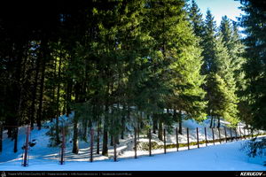 Trasee cu bicicleta MTB XC - Traseu MTB Predeal - spre Cabana Susai - Valea Azugii - Azuga de Andrei Vocurek