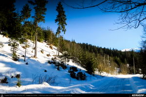 Trasee cu bicicleta MTB XC - Traseu MTB Predeal - spre Cabana Susai - Valea Azugii - Azuga de Andrei Vocurek