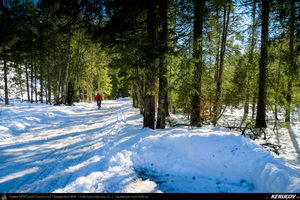 Trasee cu bicicleta MTB XC - Traseu MTB Predeal - spre Cabana Susai - Valea Azugii - Azuga de Andrei Vocurek