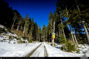 Trasee cu bicicleta MTB XC - Traseu MTB Predeal - spre Cabana Susai - Valea Azugii - Azuga de Andrei Vocurek