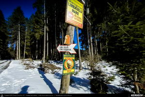 Trasee cu bicicleta MTB XC - Traseu MTB Predeal - spre Cabana Susai - Valea Azugii - Azuga de Andrei Vocurek