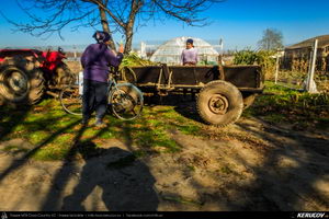 Trasee cu bicicleta MTB XC - Traseu SSP Bucuresti - Berceni - Dobreni - Colibasi - Falastoaca - Budeni - Branistari - Calugareni - Bucuresti de Andrei Vocurek