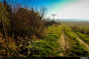 Trasee cu bicicleta MTB XC - Traseu SSP Bucuresti - Berceni - Dobreni - Colibasi - Falastoaca - Budeni - Branistari - Calugareni - Bucuresti de Andrei Vocurek