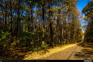 Trasee cu bicicleta MTB XC - Traseu SSP Bucuresti - Tunari - Afumati - Pasarea - Branesti - Vadu Anei - Fundeni - Cernica - Balaceanca - Popesti-Leordeni - Bucuresti de Andrei Vocurek