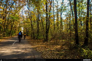 Trasee cu bicicleta MTB XC - Traseu SSP Bucuresti - Tunari - Afumati - Pasarea - Branesti - Vadu Anei - Fundeni - Cernica - Balaceanca - Popesti-Leordeni - Bucuresti de Andrei Vocurek
