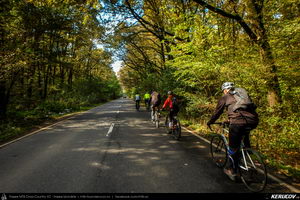 Trasee cu bicicleta MTB XC - Traseu SSP Bucuresti - Chitila - Joita - Brezoaele - Racari - Sabiesti - Ciocanesti - Buftea - Mogosoaia de Andrei Vocurek