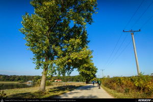 Trasee cu bicicleta MTB XC - Traseu SSP Bucuresti - Chitila - Joita - Brezoaele - Racari - Sabiesti - Ciocanesti - Buftea - Mogosoaia de Andrei Vocurek