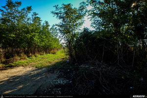 Trasee cu bicicleta MTB XC - Traseu SSP Bucuresti - Chitila - Joita - Brezoaele - Racari - Sabiesti - Ciocanesti - Buftea - Mogosoaia de Andrei Vocurek