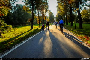 Trasee cu bicicleta MTB XC - Traseu SSP Bucuresti - Chitila - Joita - Brezoaele - Racari - Sabiesti - Ciocanesti - Buftea - Mogosoaia de Andrei Vocurek