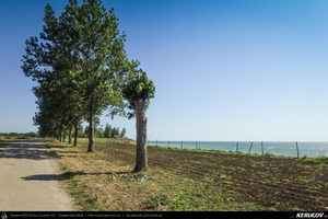 Trasee cu bicicleta MTB XC - Traseu SSP Mangalia - Krapets / Krapec - Vama Veche - Mangalia de Andrei Vocurek