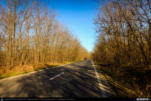 Trasee cu bicicleta MTB XC - Traseu SSP Bucuresti - Dascalu - Moara Vlasiei - Lipia - Gruiu - Snagov - Saftica - Balotesti - Dimieni - Tunari - Bucuresti de Andrei Vocurek
