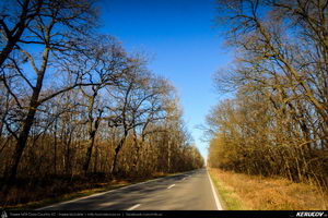 Trasee cu bicicleta MTB XC - Traseu SSP Bucuresti - Dascalu - Moara Vlasiei - Lipia - Gruiu - Snagov - Saftica - Balotesti - Dimieni - Tunari - Bucuresti de Andrei Vocurek