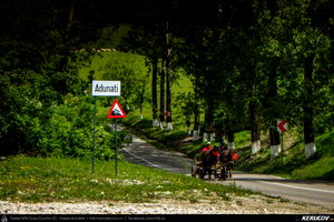 Trasee cu bicicleta MTB XC - Traseu MTB Breaza - Costisata - Bezdead - Miculesti - Sultanu - Campina de Andrei Vocurek