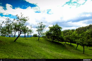 Trasee cu bicicleta MTB XC - Traseu MTB Breaza - Costisata - Bezdead - Miculesti - Sultanu - Campina de Andrei Vocurek